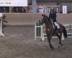 jumper Velvet Heaven (KWPN (Royal Dutch Sporthorse), 2002, from Voltaire)