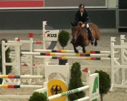 Springpferd Oskar della Piere (KWPN (Niederländisches Warmblut), 2005, von Concorde)