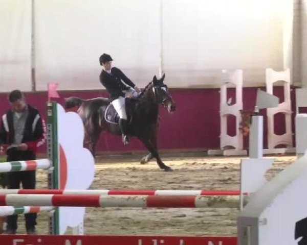 jumper Zoietagain (KWPN (Royal Dutch Sporthorse), 2004, from Oklund)