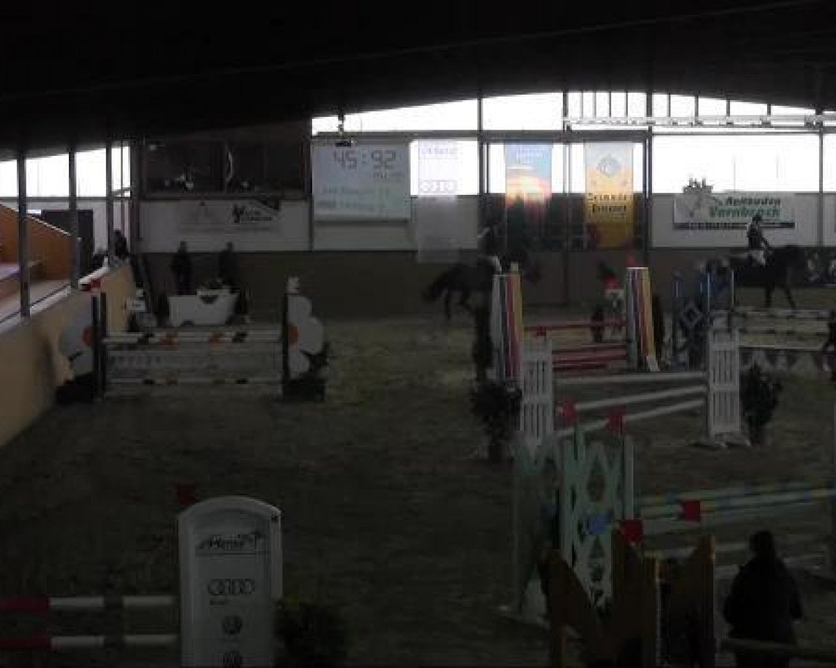 Springpferd Wendie 11 (KWPN (Niederländisches Warmblut), 2003, von Hold Up Premier)