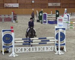 jumper Winetou B (KWPN (Royal Dutch Sporthorse), 2003, from Cobra)