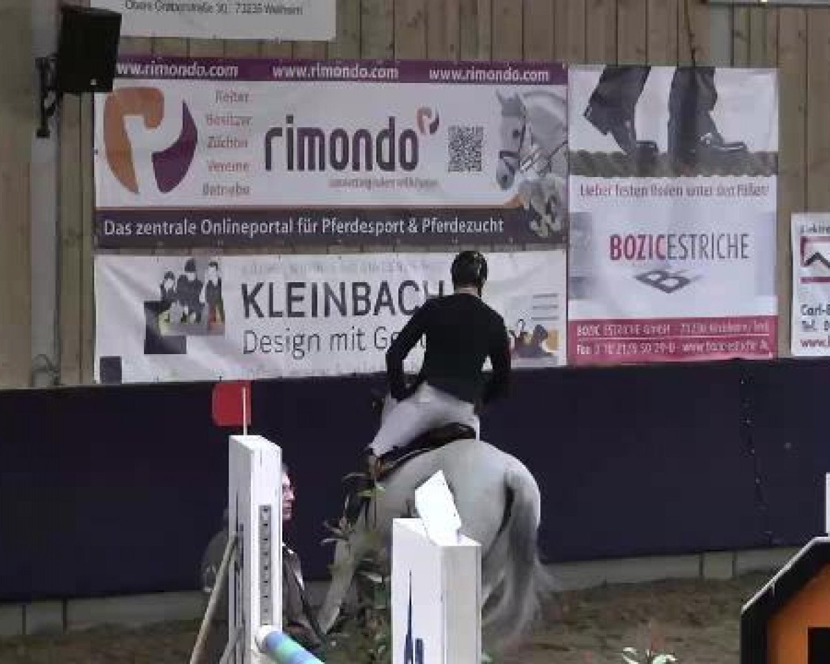 jumper Alisha Keys (KWPN (Royal Dutch Sporthorse), 2002, from Matterhorn)