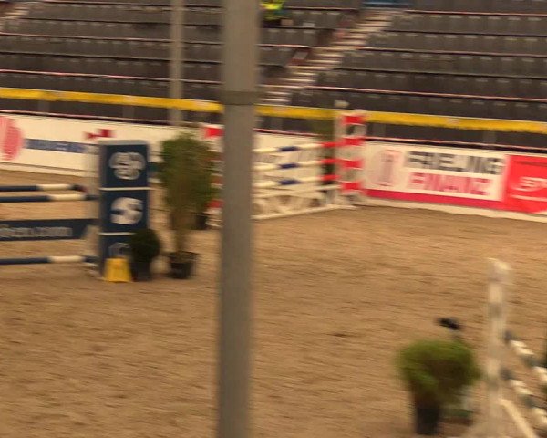 Reitturnier Verden Montagsclub 2021