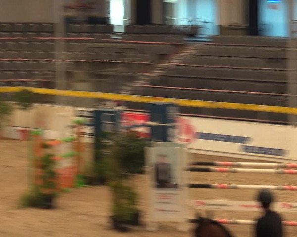 Reitturnier Verden Montagsclub 2021