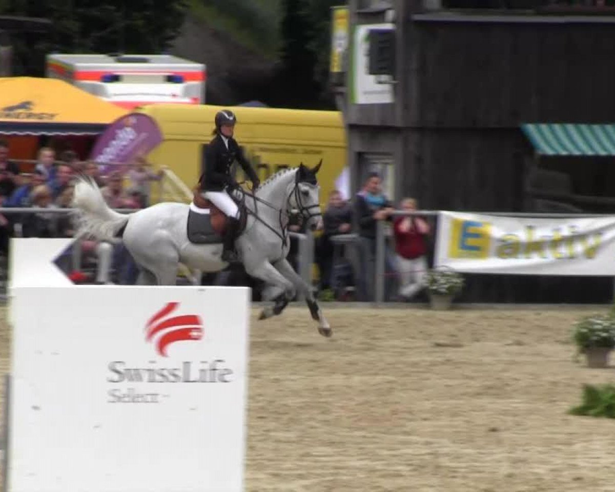 jumper Plinton (Selle Français, 2003, from Clinton)