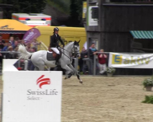 jumper Plinton (Selle Français, 2003, from Clinton)