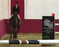 broodmare Victoria's Secret 2 (Selle Français, 2002, from Diamant de Semilly)