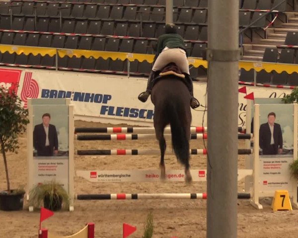 Reitturnier Verden Montagsclub 2021