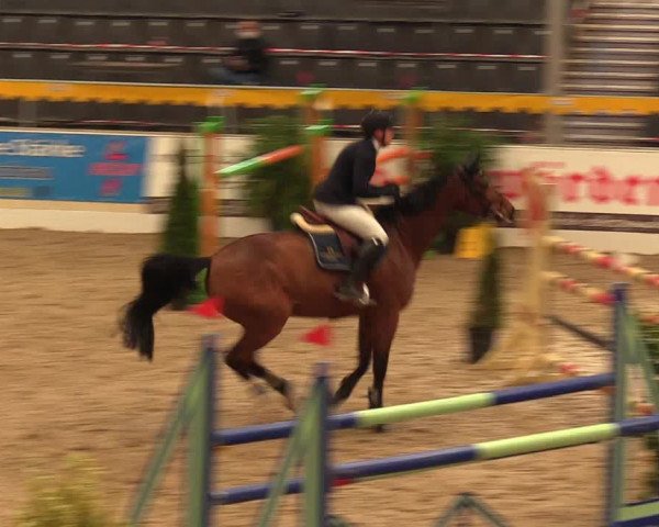 Reitturnier Verden Montagsclub 2021