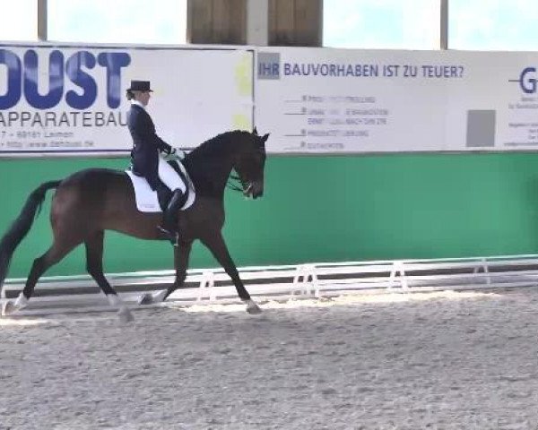 Dressurpferd Fido Dido (KWPN (Niederländisches Warmblut), 2004, von Florencio I)