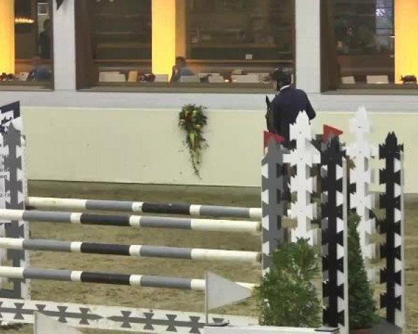 Springpferd Soendervangs Cornelia (Dänisches Warmblut, 1998, von Cornetto)