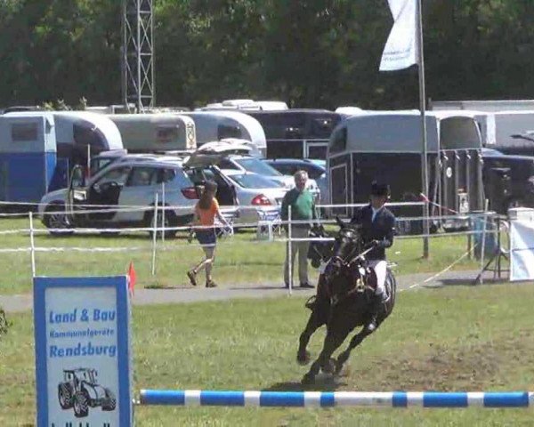 jumper Jack'n Black (Pony without race description, 2005)