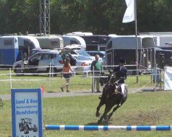 jumper Jack'n Black (Pony without race description, 2005)