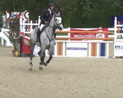 broodmare Genua VII (Bavarian, 2006, from Quadrigus M)