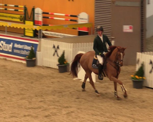 Reitturnier Verden Montagsclub 2021