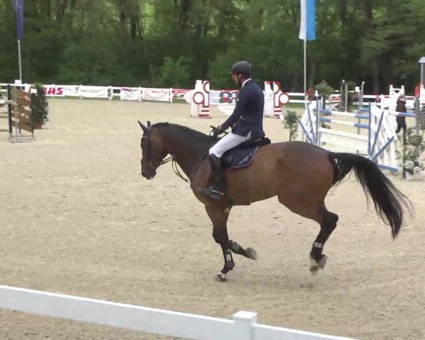jumper Acerius (Bavarian, 2004, from Argentinus)