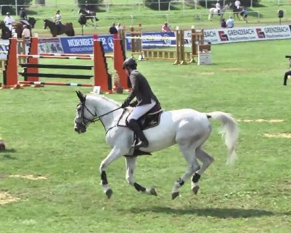 Springpferd Chamonix B (Bayer, 2007, von Chambertin)