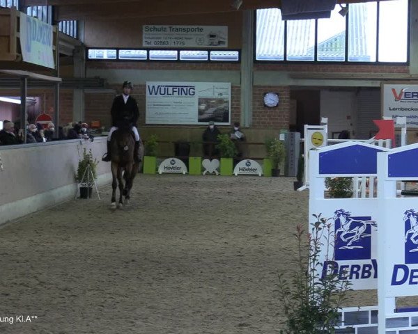 Reitturnier Heiden 2021