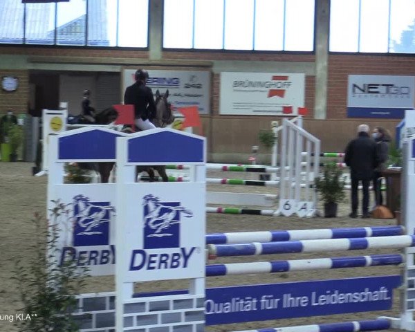 Reitturnier Heiden 2021
