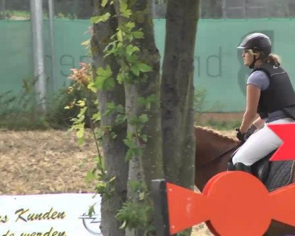 dressage horse Rafinja 3 (Württemberger, 2006, from Royaldik)