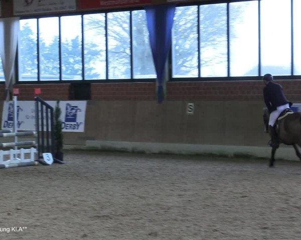 Reitturnier Heiden 2021