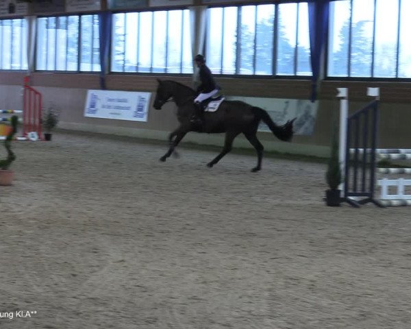 Reitturnier Heiden 2021