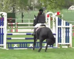broodmare Goya L (Württemberger, 2001, from Gardez)