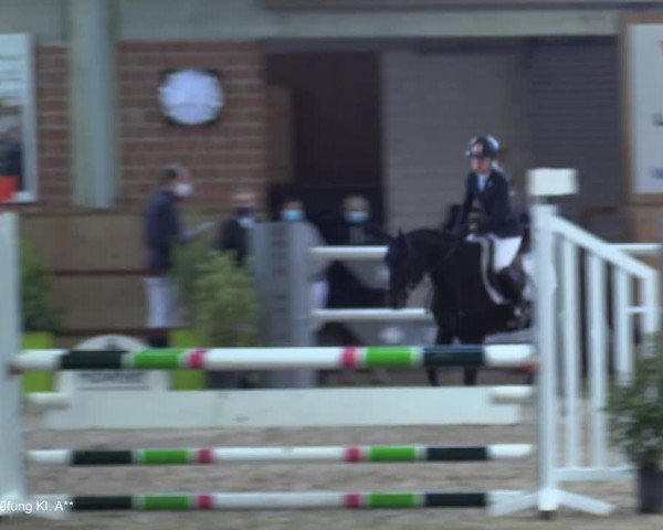 Reitturnier Heiden 2021