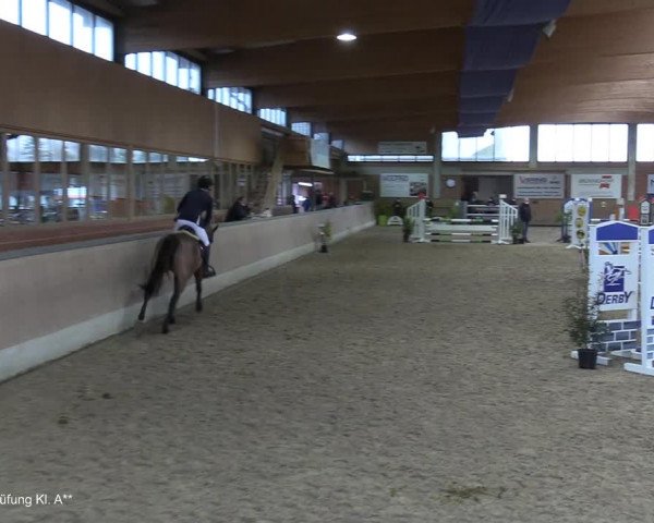 Reitturnier Heiden 2021