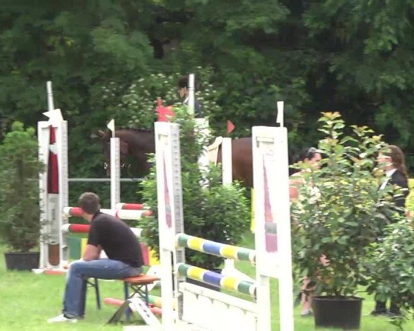 jumper La Jolie 56 (Württemberger, 2005, from Le Champion)