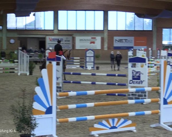Reitturnier Heiden 2021