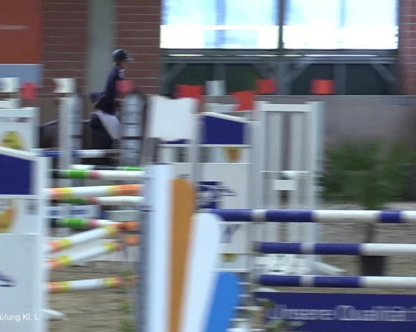 Reitturnier Heiden 2021