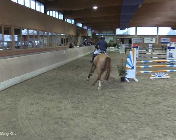 Reitturnier Heiden 2021
