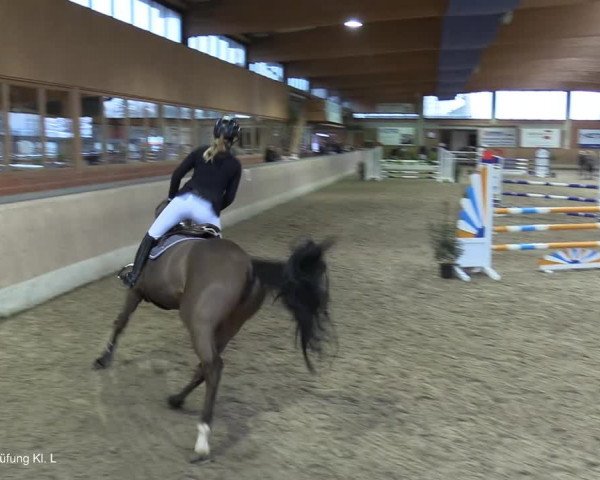 Reitturnier Heiden 2021