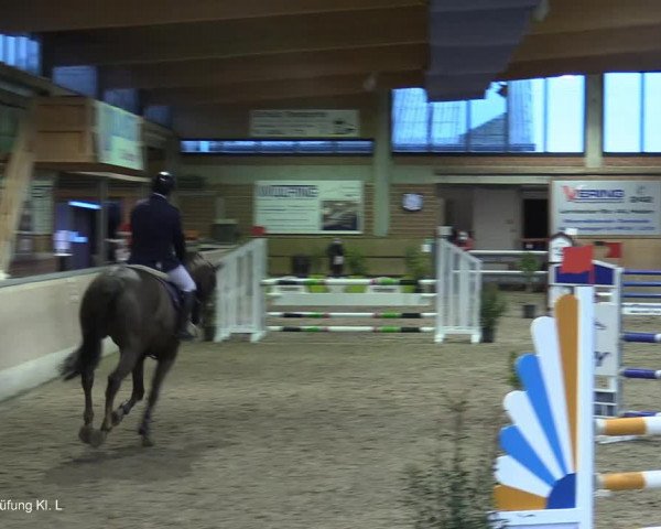 Reitturnier Heiden 2021