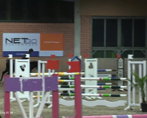 Reitturnier Heiden 2021