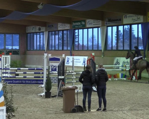 Reitturnier Heiden 2021