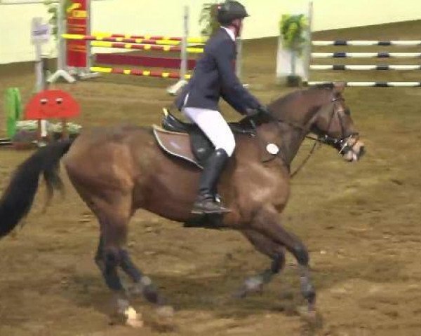 jumper Meridian 19 (Thuringia, 2004, from Magnat II)