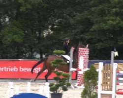 jumper Campino 412 (unknown, 2007)