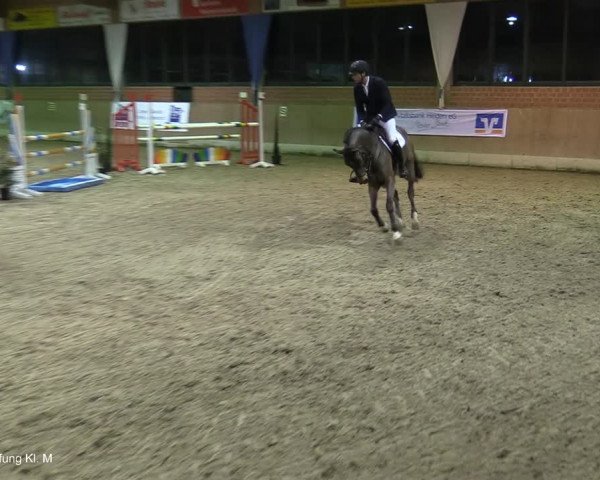 Reitturnier Heiden 2021
