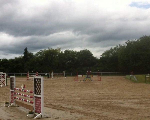 Springpferd Aranciato (Hessisches Warmblut, 2001, von Araconit)