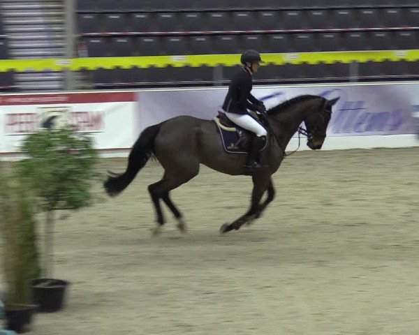 Reitturnier Verden Montagsclub 2021