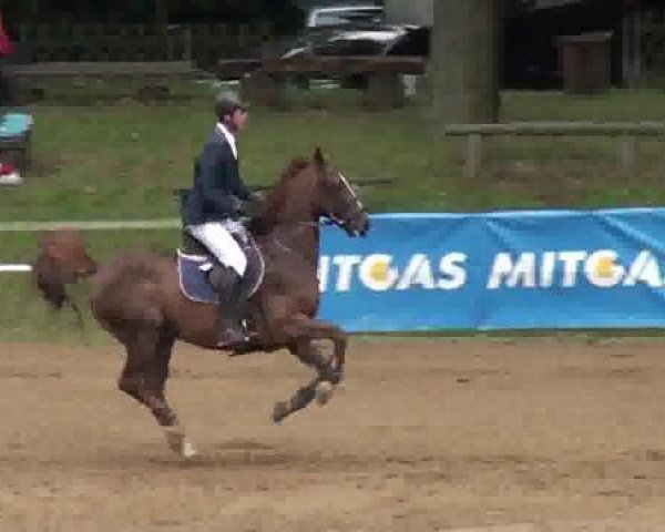 jumper Antonio 98 (Brandenburg, 2001, from Askari)