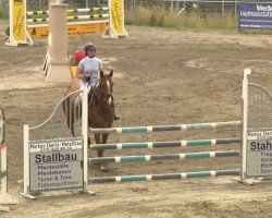 jumper Nanu 129 (German Sport Horse, 2006, from New Time)