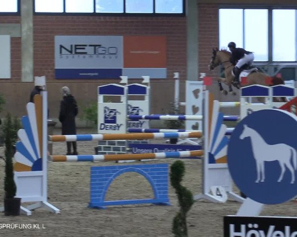 Reitturnier Heiden 2021