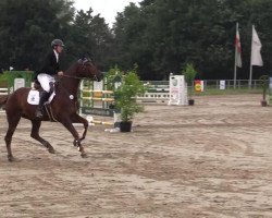 Springpferd Frenchman 14 (Deutsches Sportpferd, 2007, von French Kiss)