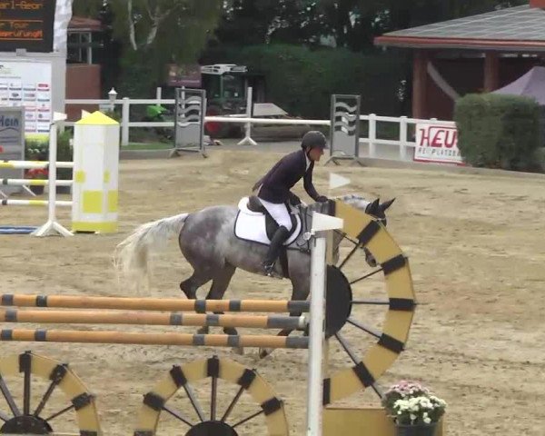 jumper Cala d'Or 4 (Rhinelander, 2007, from Clinton H)