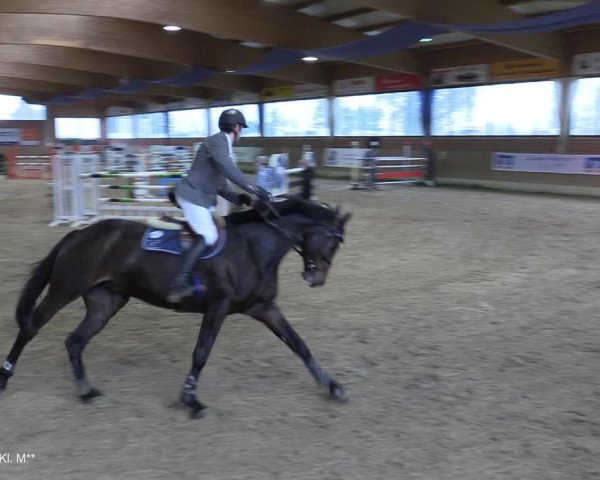 Reitturnier Heiden 2021