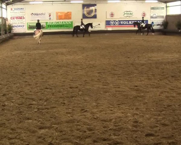 dressage horse Roncalli 128 (Rhinelander, 2005, from Röwer BE)
