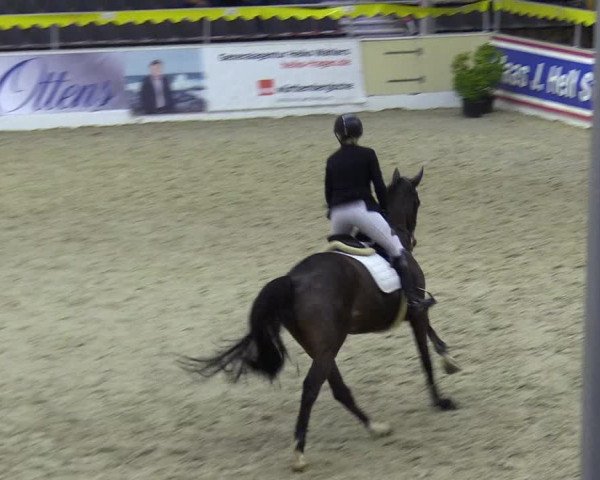 Reitturnier Verden Montagsclub 2021